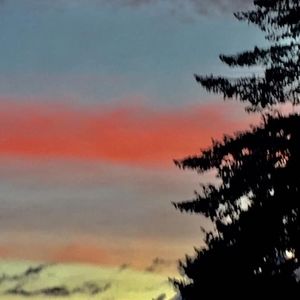 Meet your Posher, Carol